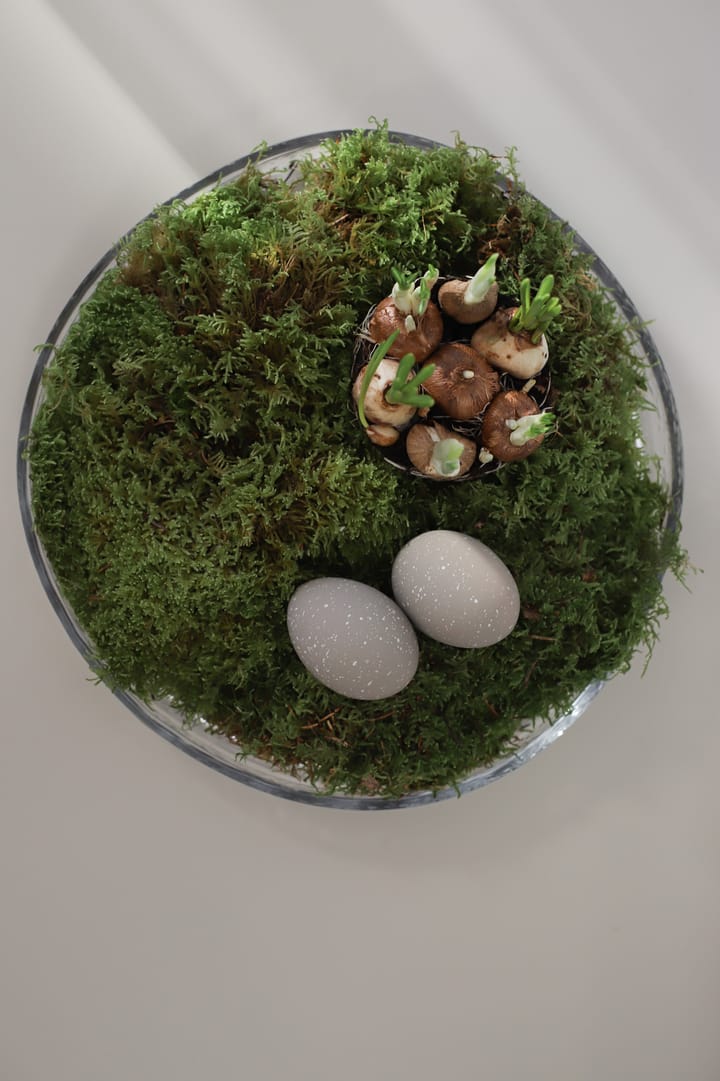 2 Huevos Easter Deco , Arena Cooee Design