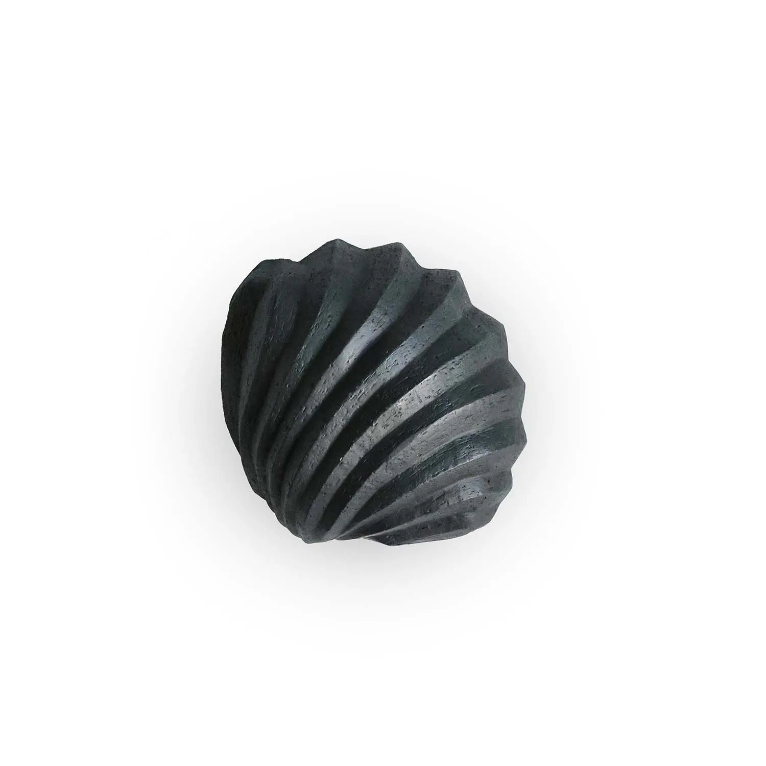 Escultura The Clam Shell 13 cm, Coal Cooee Design