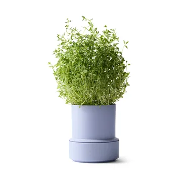 Maceta con autorriego para hierbas Billund - Lavender - Crushgrind