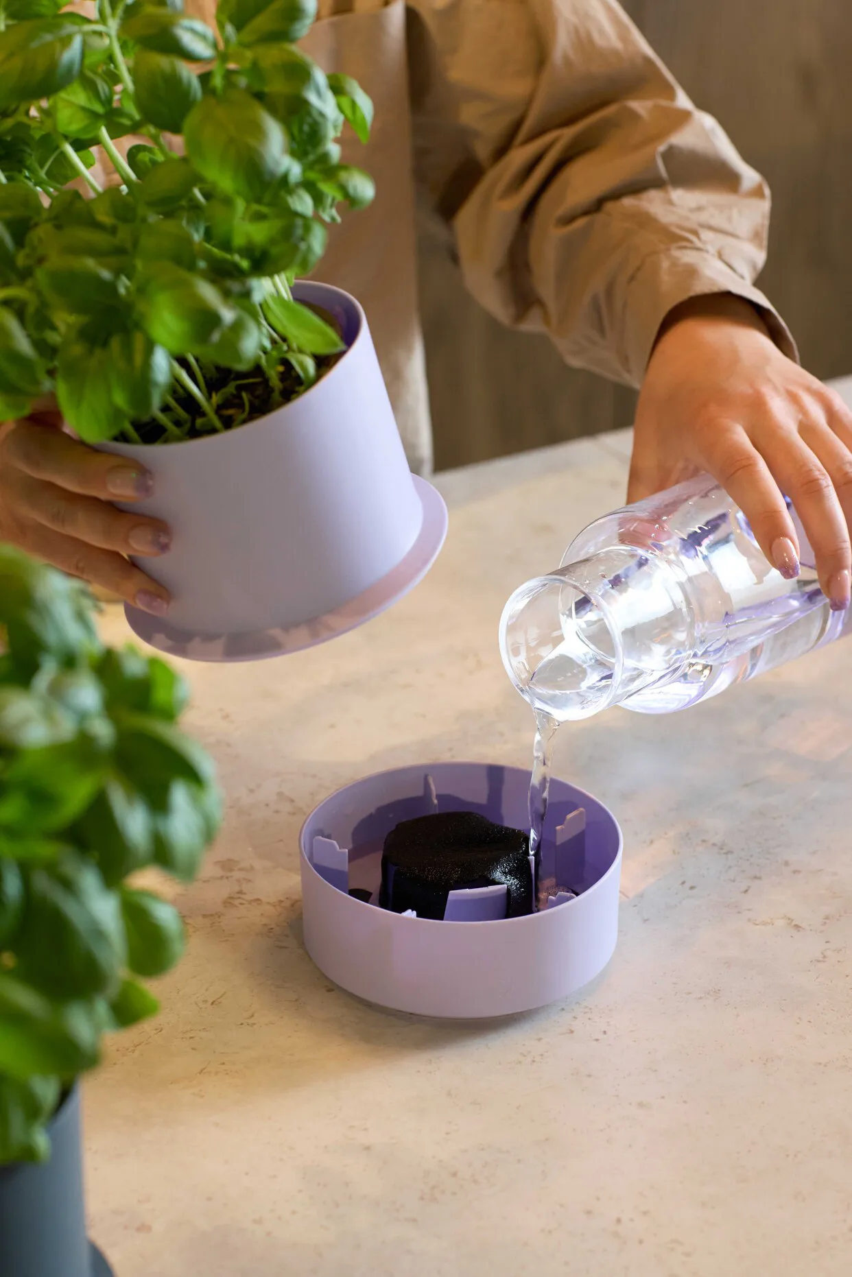 Maceta con autorriego para hierbas Billund, Lavender Crushgrind