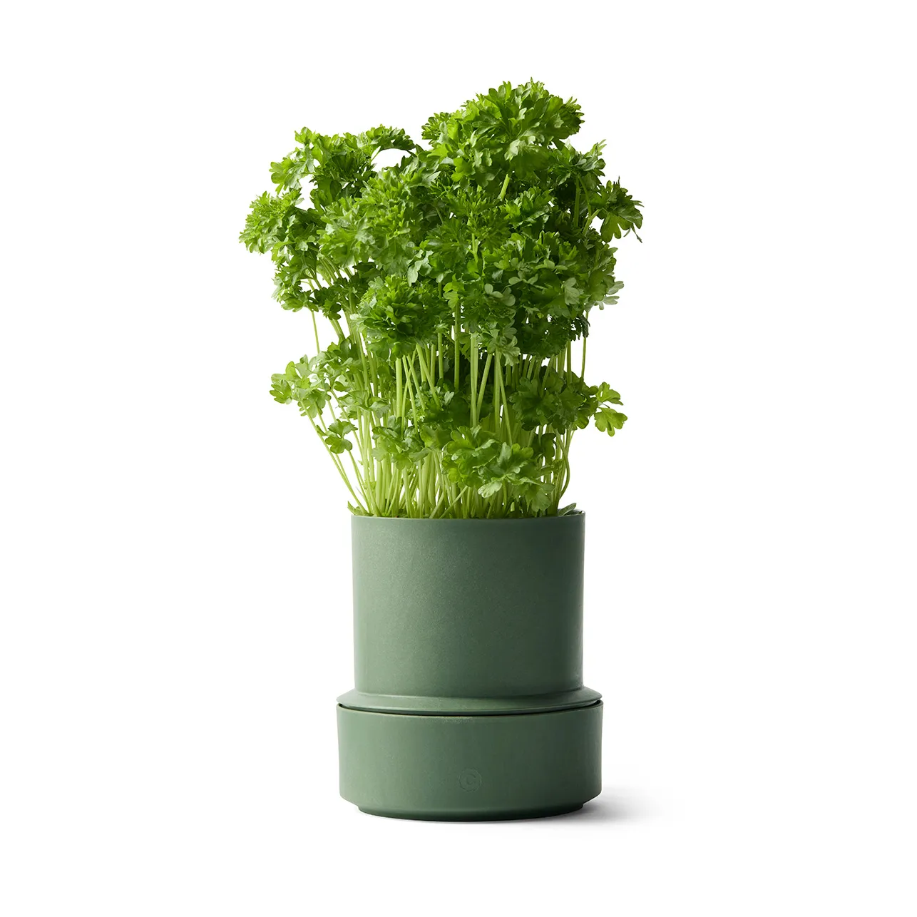 Maceta con autorriego para hierbas Billund, Parsley Crushgrind