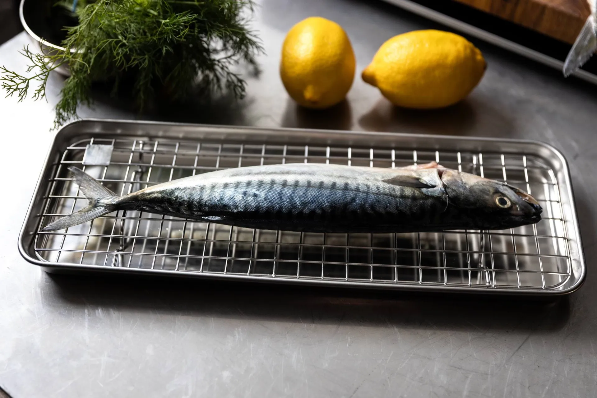 Bandeja gastro con rejilla de enfriamiento Culimat, Acero inoxidable, 38x14x2,5 cm Culimat