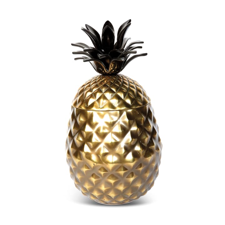 Cubitera con tapa Pineapple piña - Dorado - Culinary Concepts
