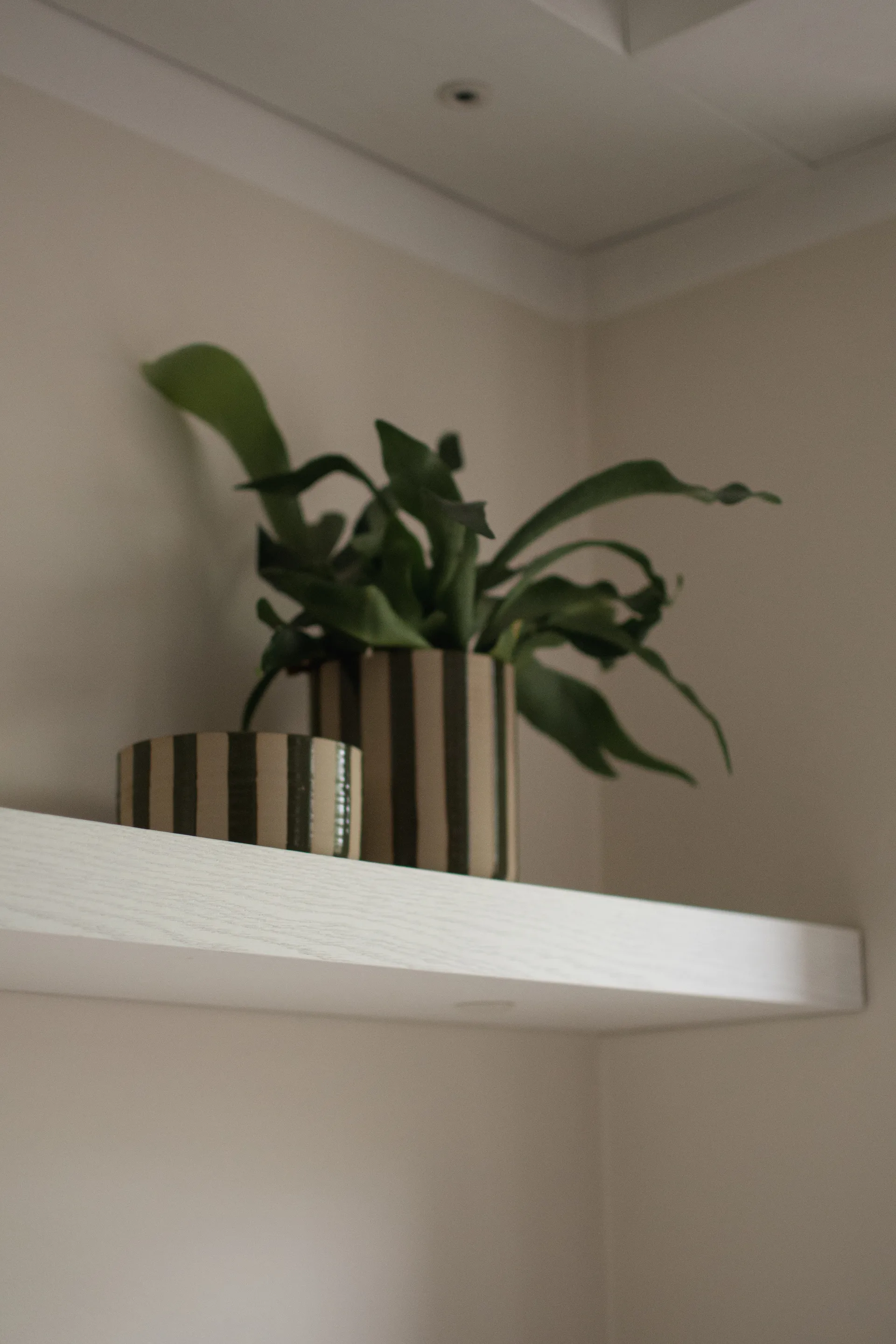 Cuenco decorativo Line Ø16 cm, Verde con rayas DBKD