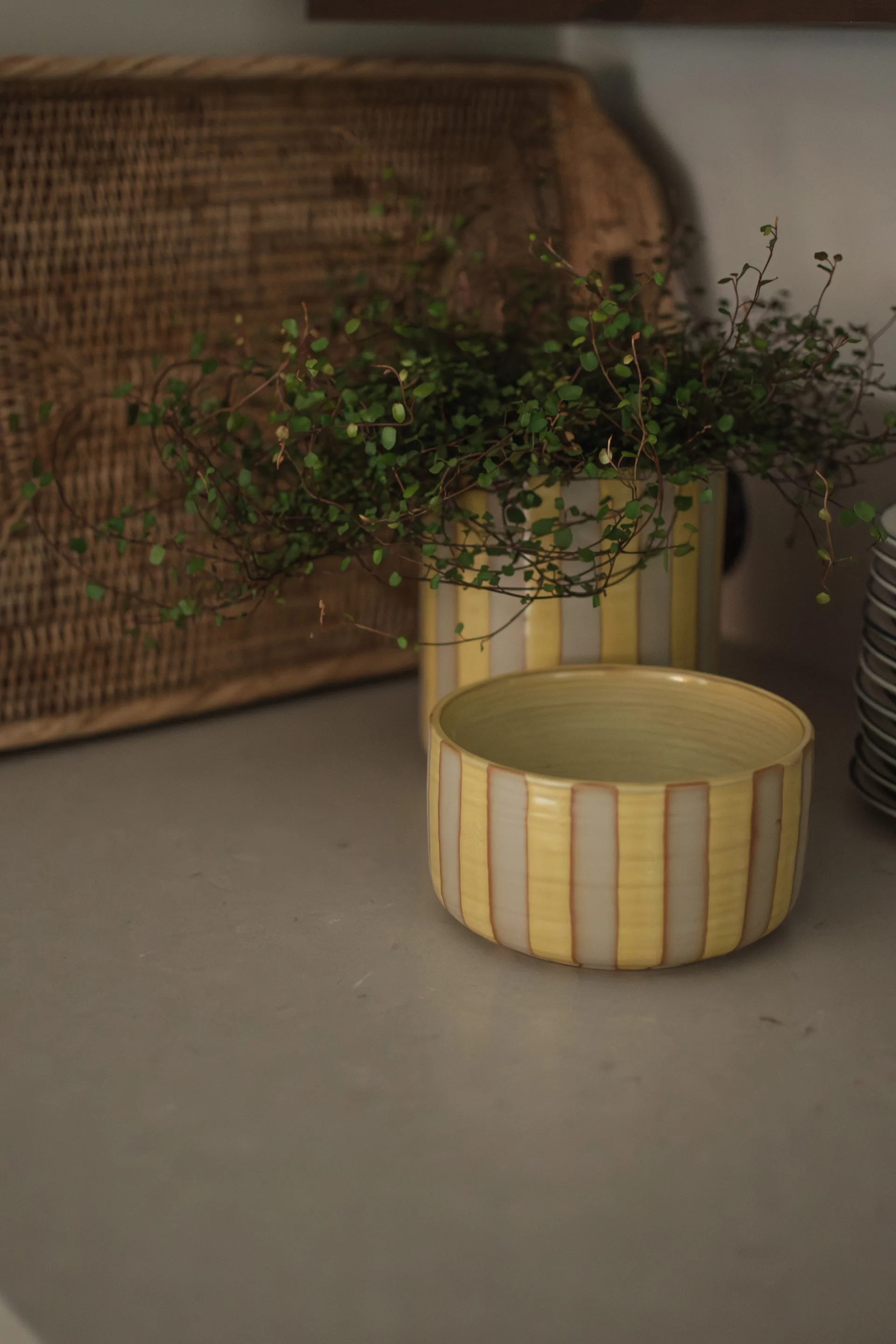 Cuenco decorativo Line Ø16 cm, Yellow DBKD