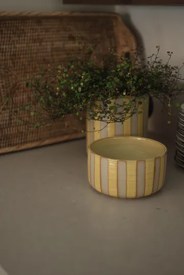 Cuenco decorativo Line Ø16 cm - Yellow - DBKD