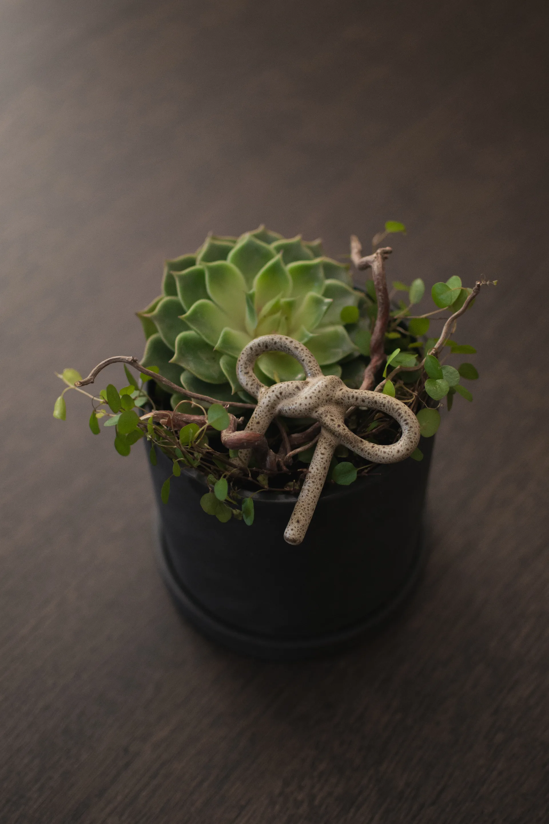 Decoración floral Bow, Beige DBKD