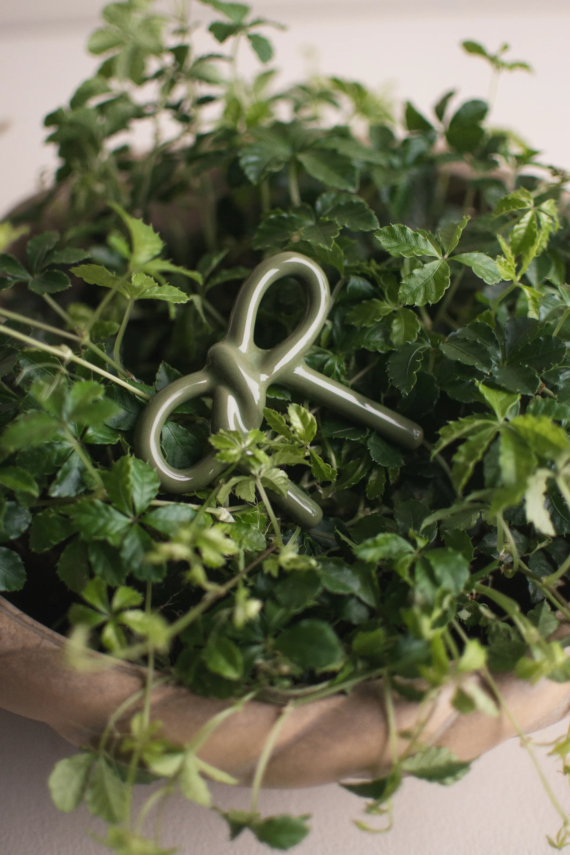 Decoración floral Bow, Verde brillante DBKD