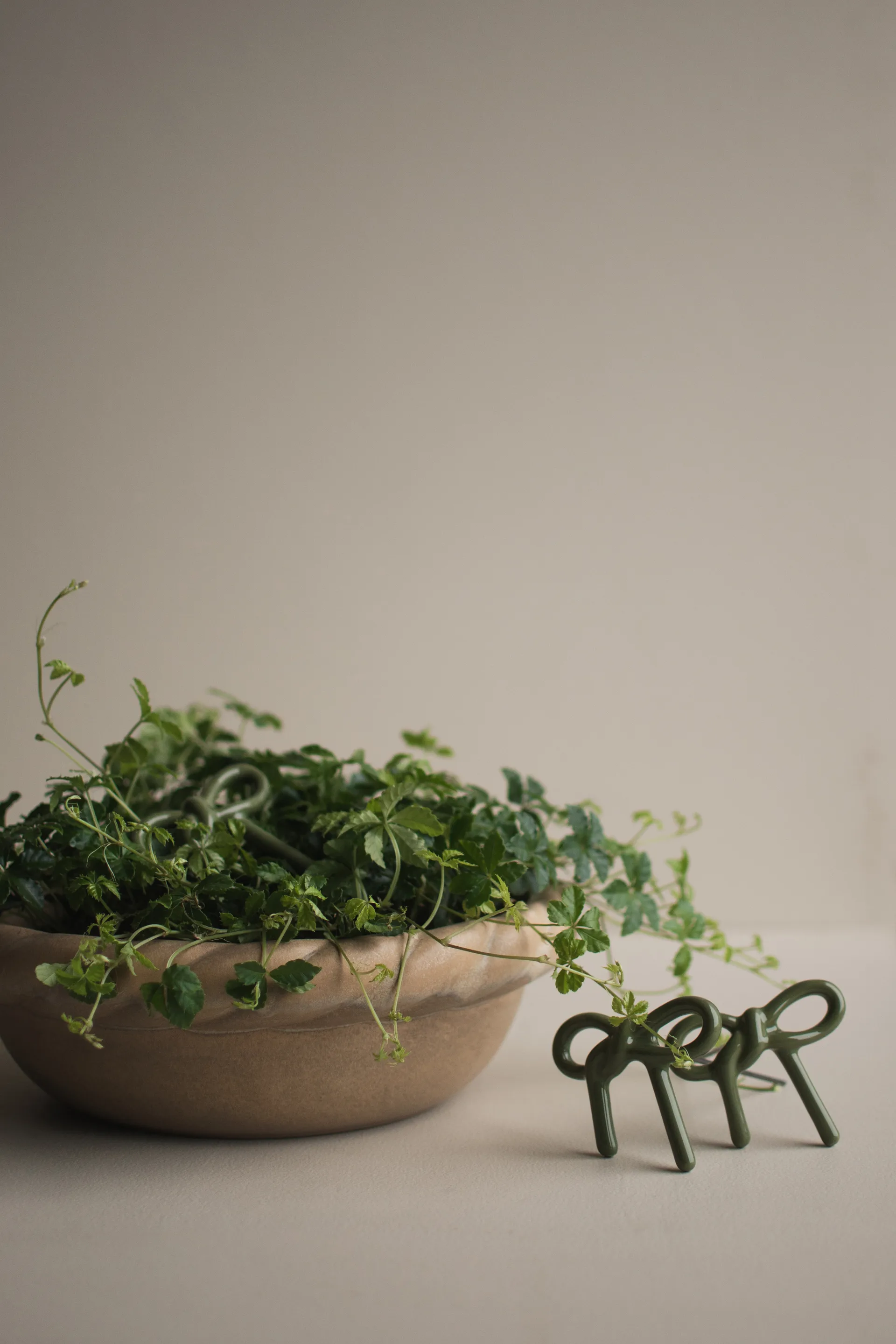 Decoración floral Bow, Verde brillante DBKD