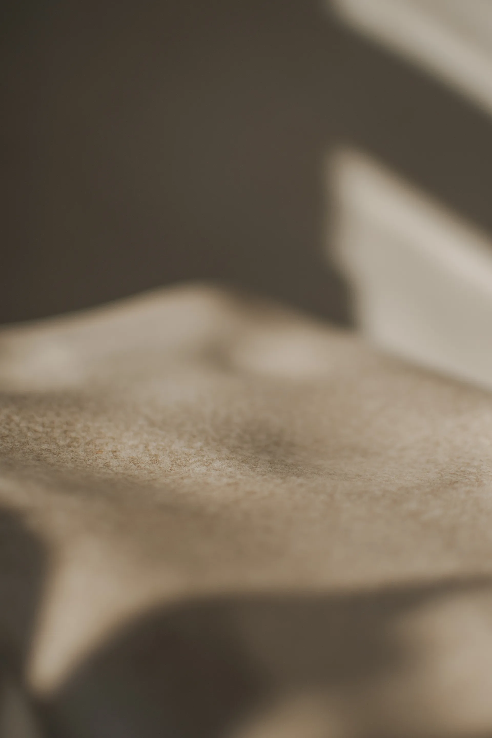 Jarrón Meadow H30 cm, Beige DBKD