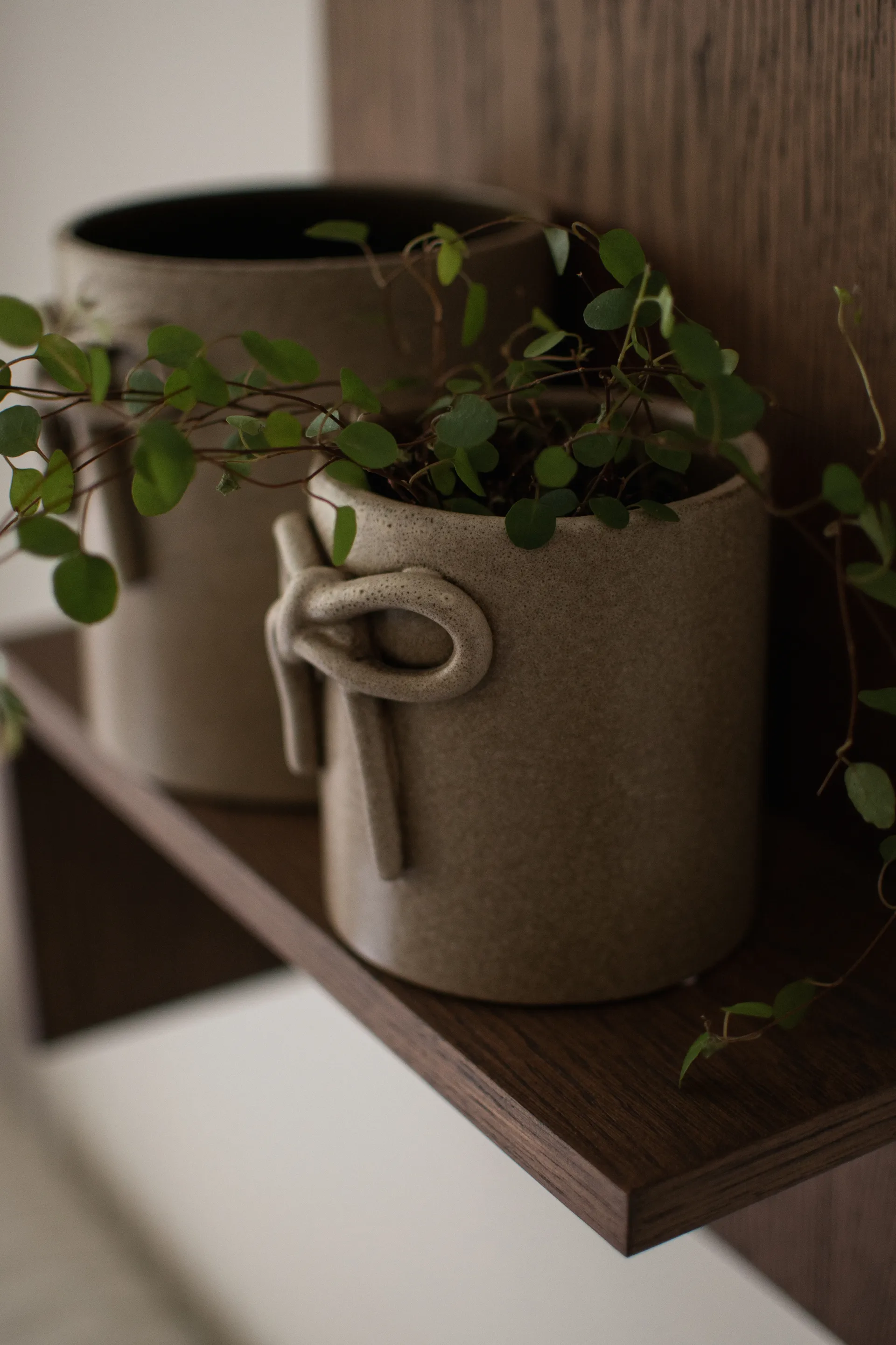 Maceta Bow Ø11 cm, Beige DBKD