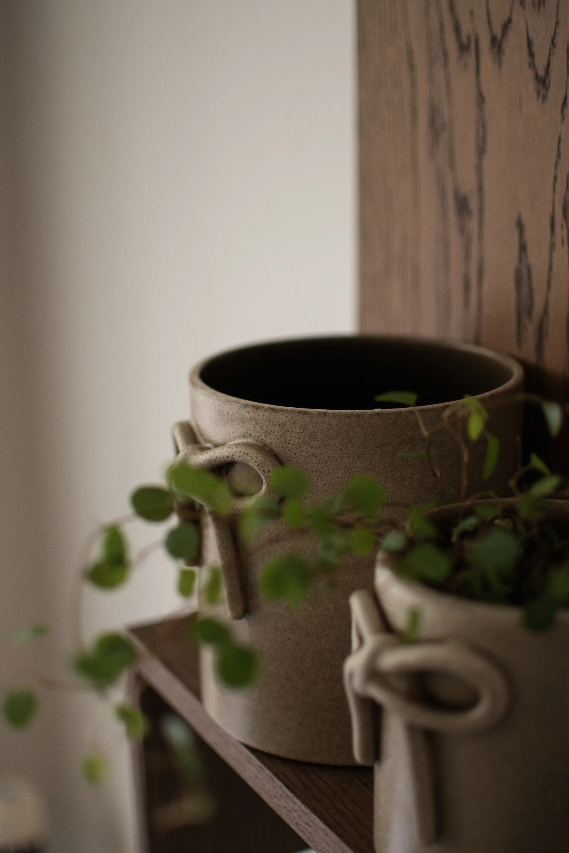 Maceta Bow Ø14 cm, Beige DBKD