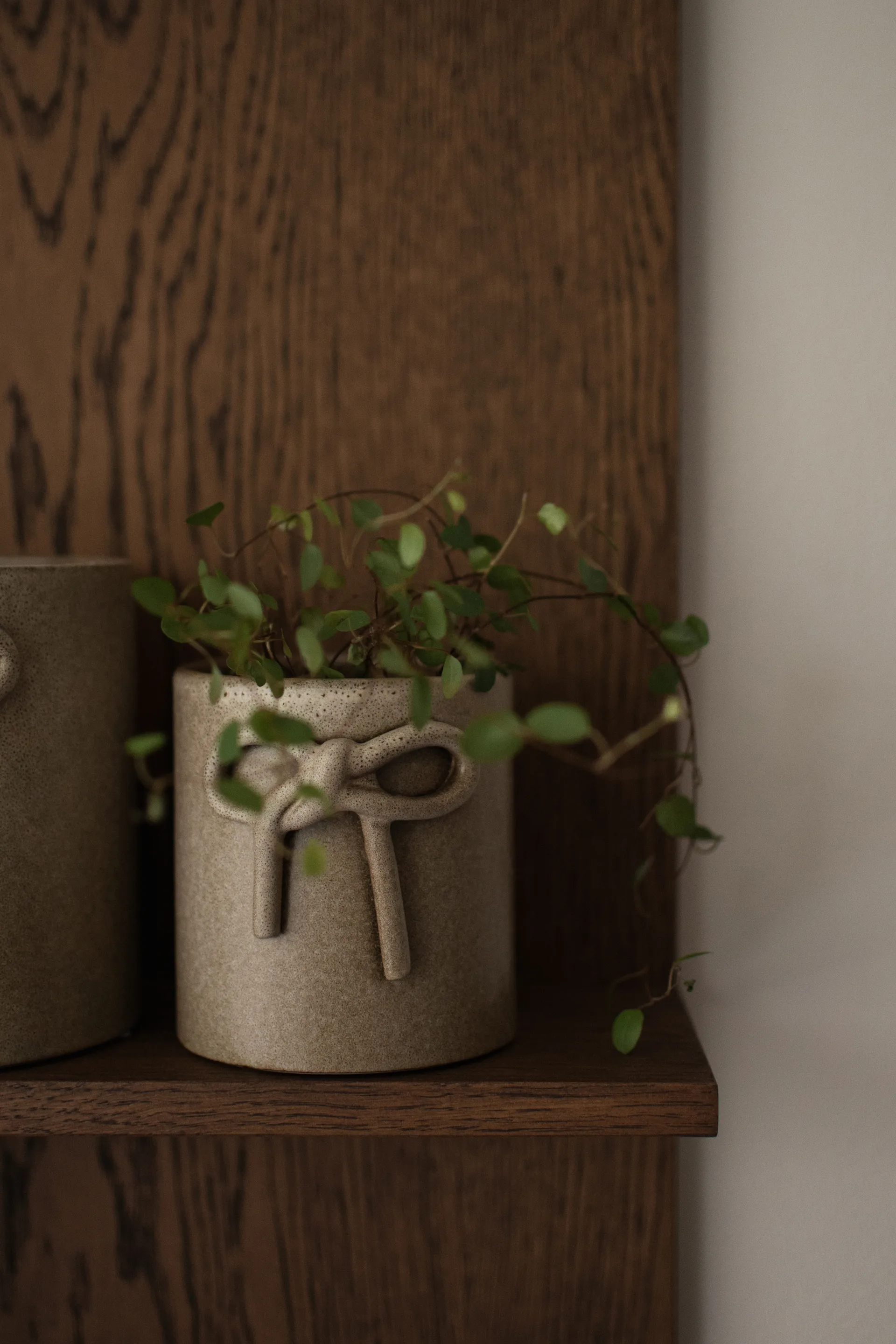 Maceta Bow Ø14 cm, Shiny mole DBKD