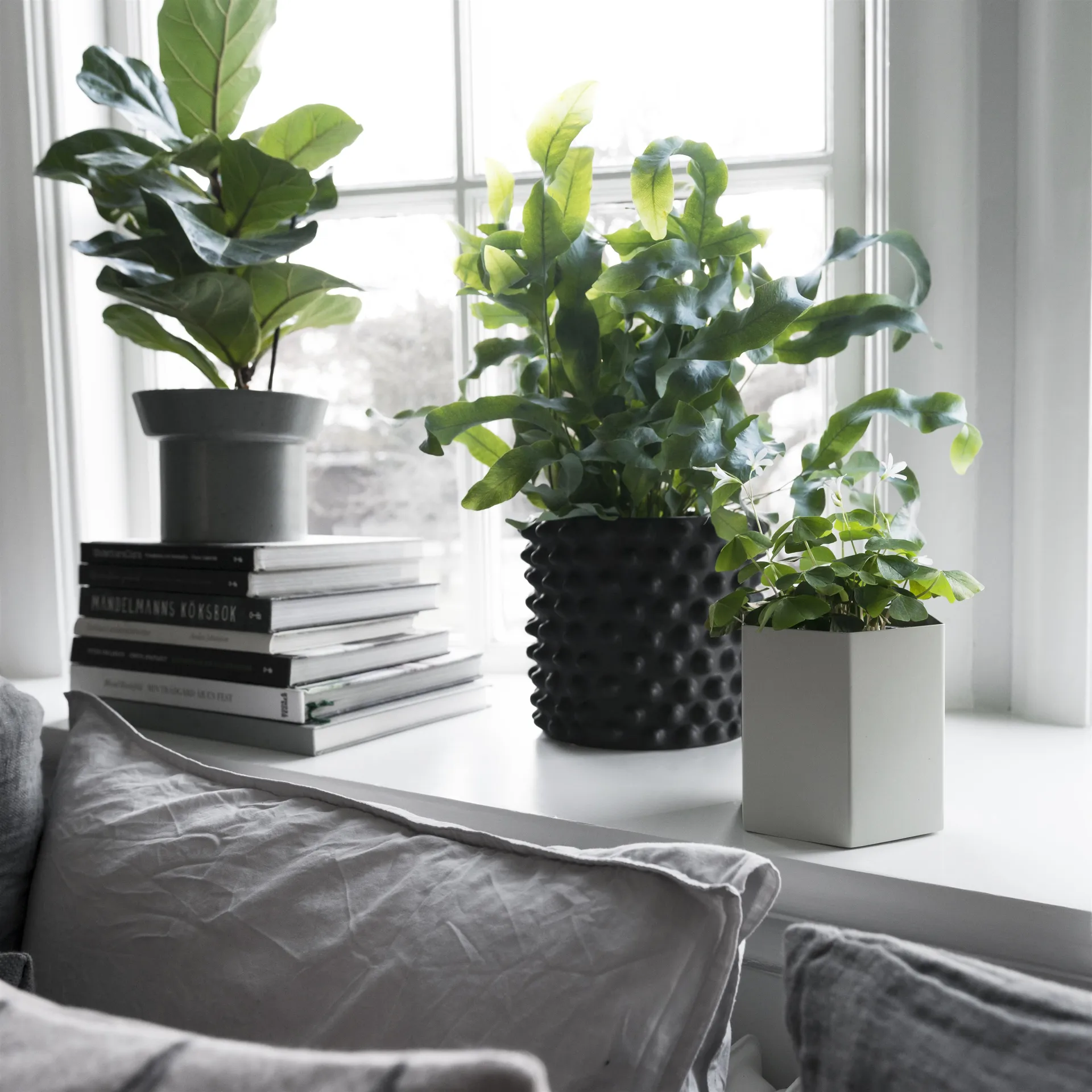 Maceta Cloudy, gris oscuro, pequeña, Ø 21 cm DBKD