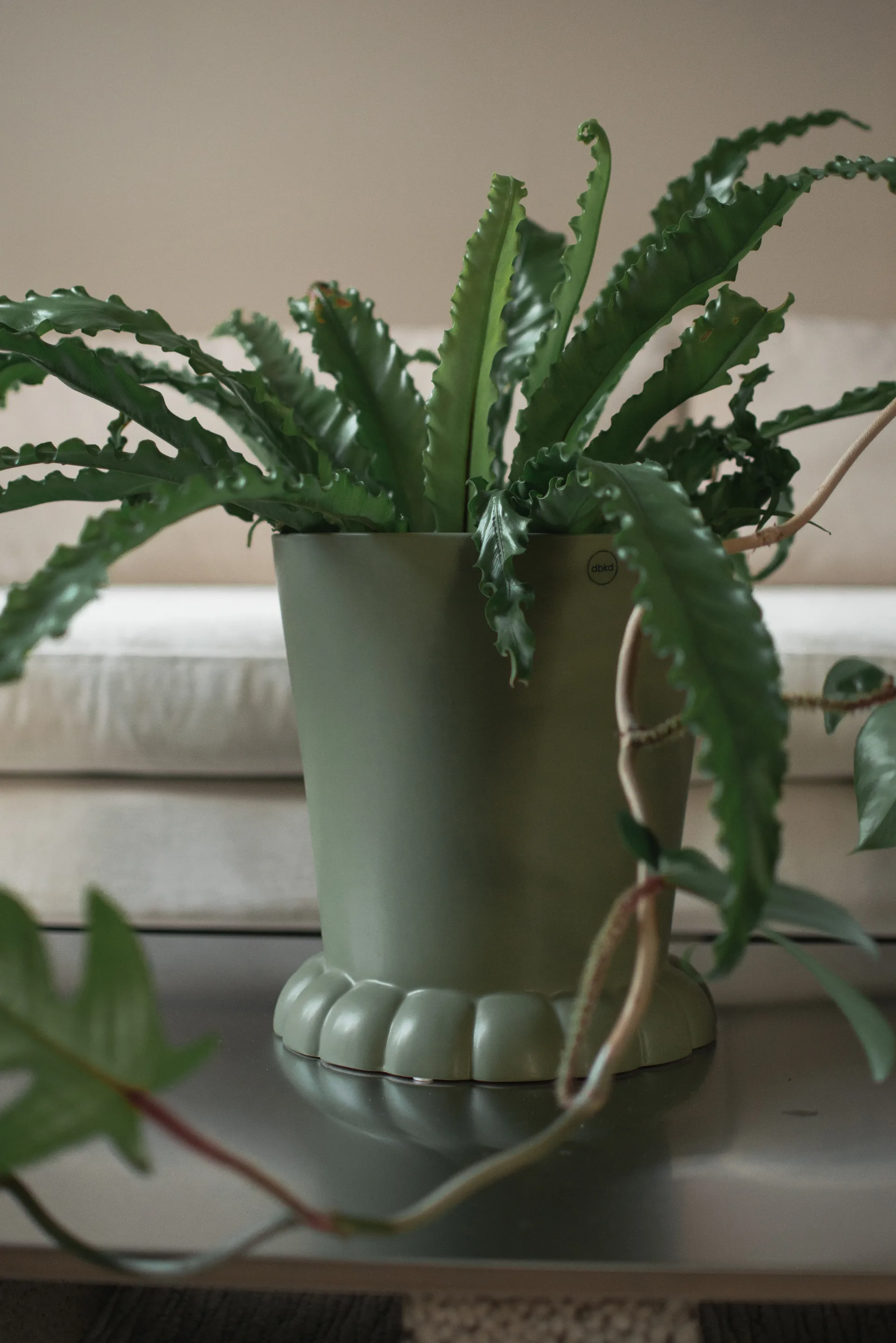 Maceta Flora Ø25 cm, Green DBKD