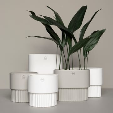 Maceta Front Ø16 - Mole - DBKD