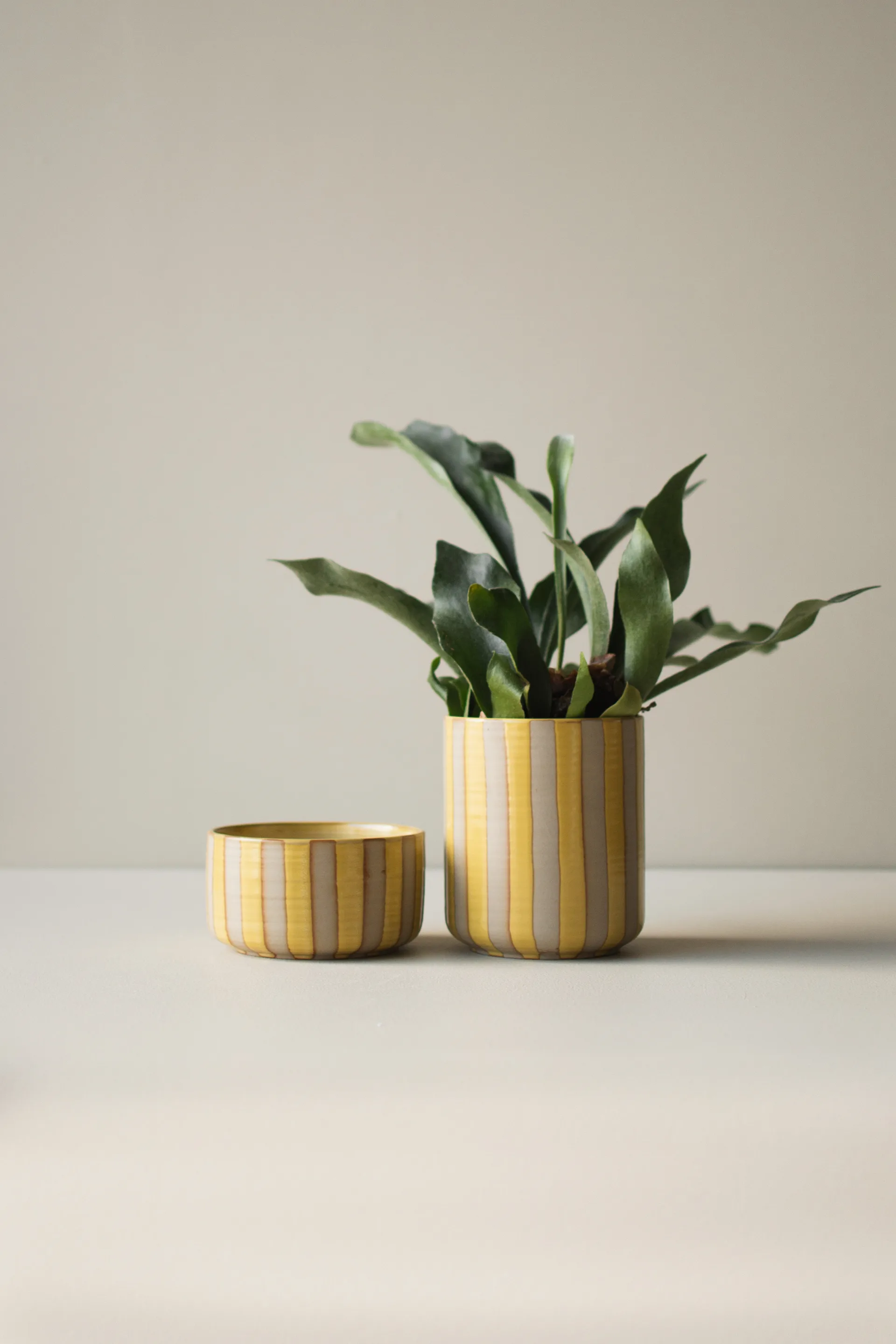 Maceta Line Ø14x16 cm, Yellow DBKD