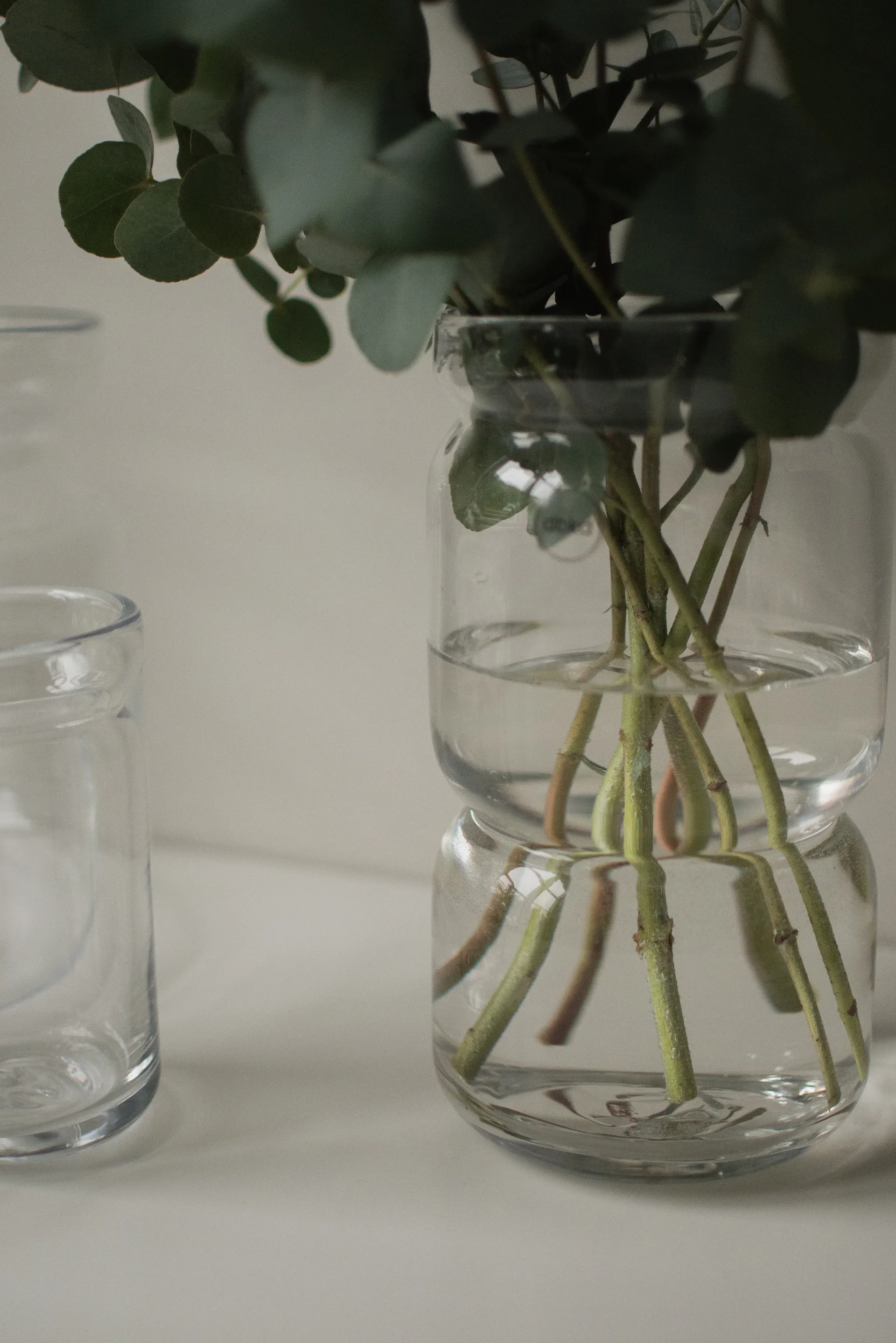 Maceta Neck, Transparente, Ø12x22,5 cm DBKD