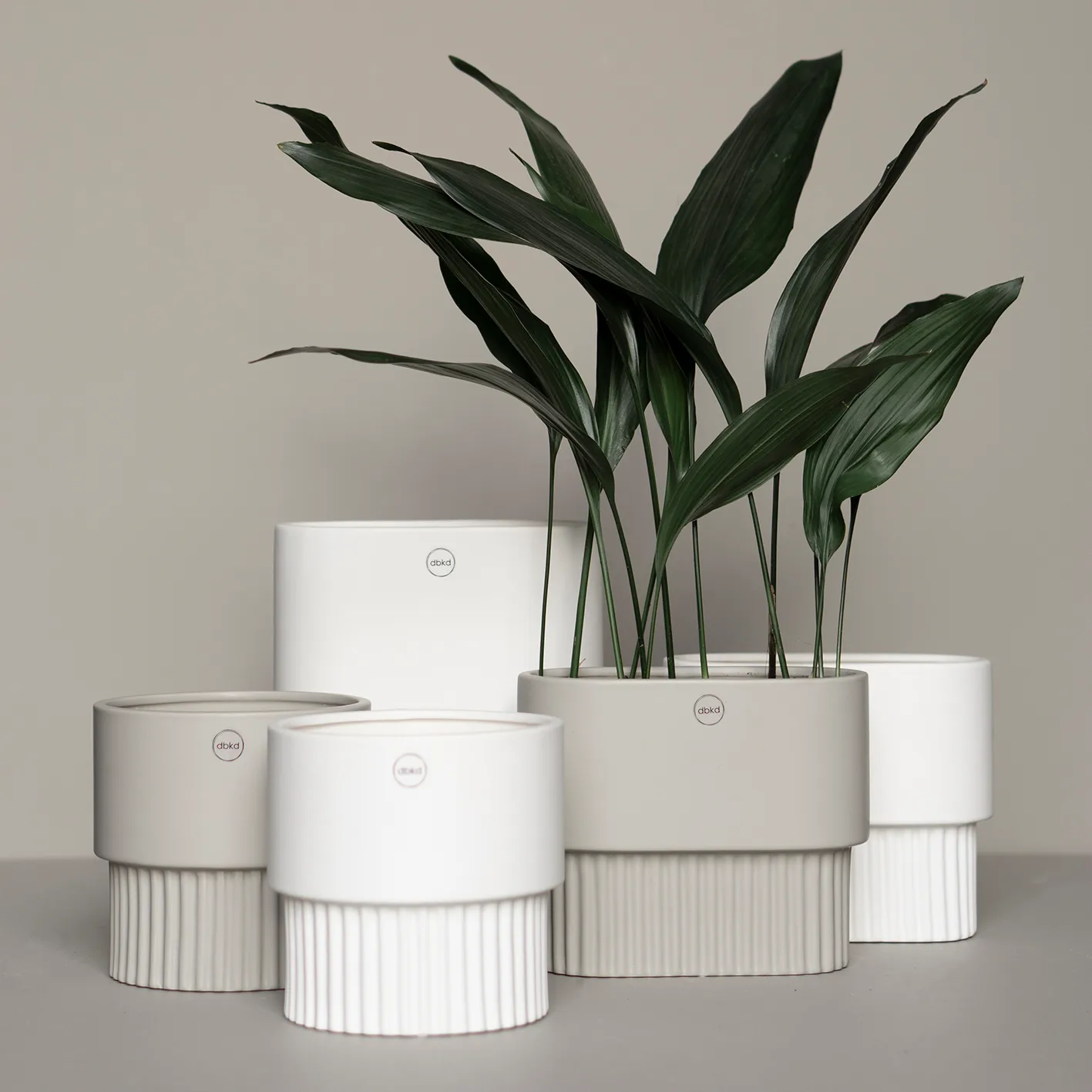 Maceta ovalada Front baja, White DBKD