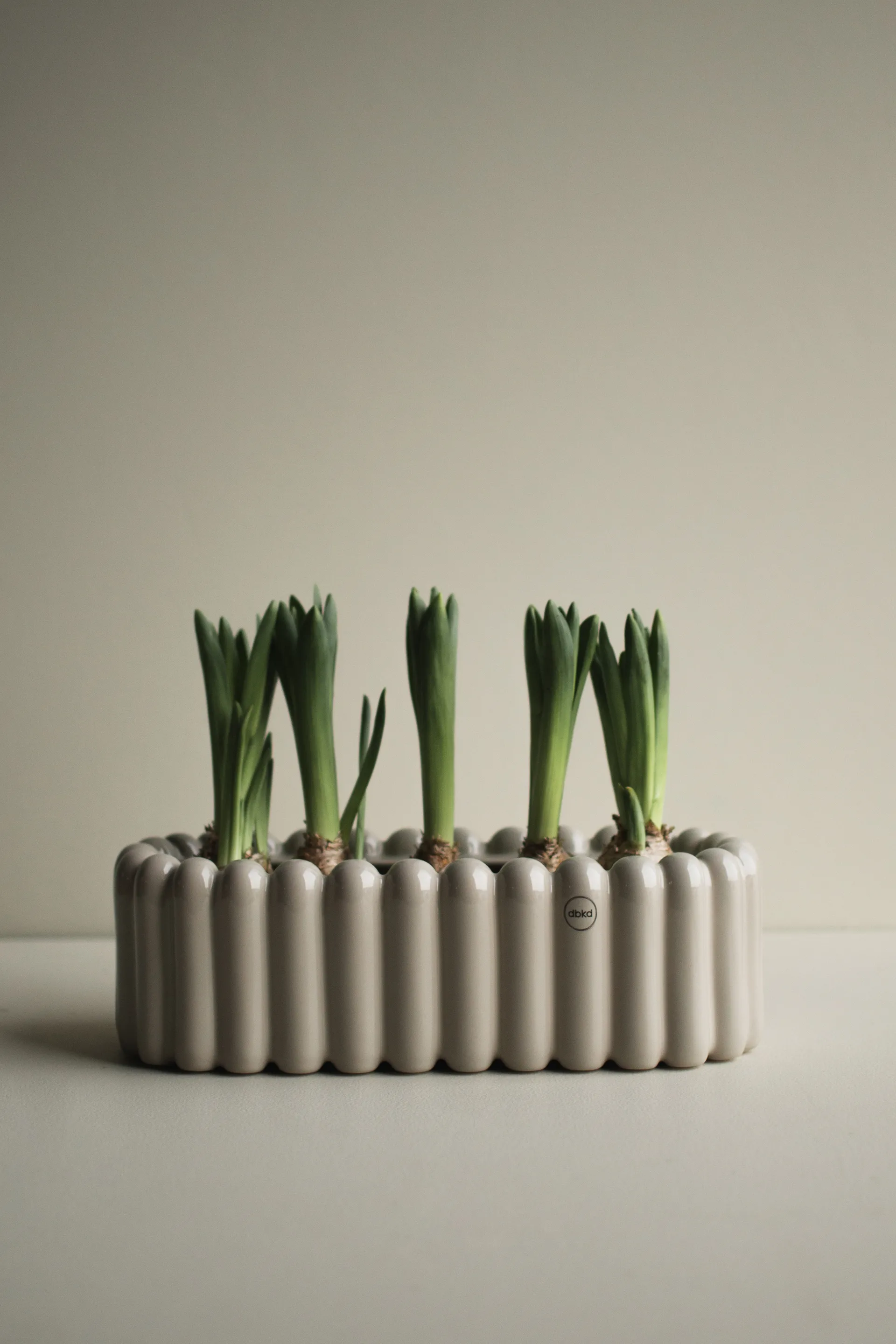 Maceta ovalada Mist pequeña 35 cm, Topo brillante DBKD