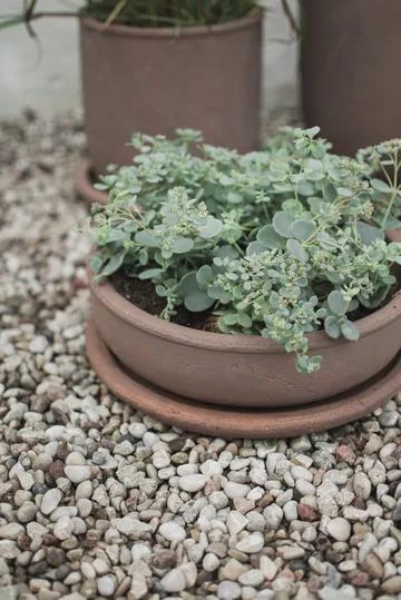 Maceta Terra bowl - Brown, Ø30 × 10,5 cm - DBKD