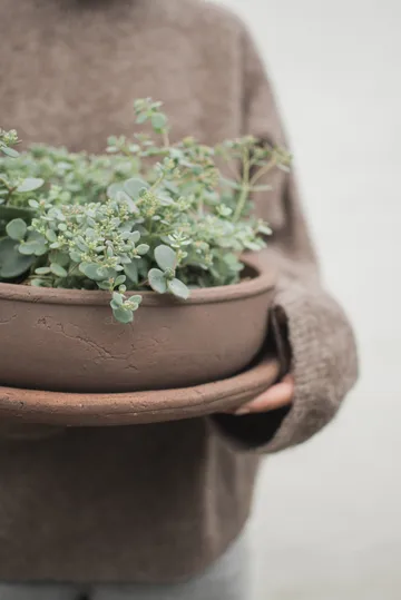 Maceta Terra bowl - Brown, Ø30 × 10,5 cm - DBKD