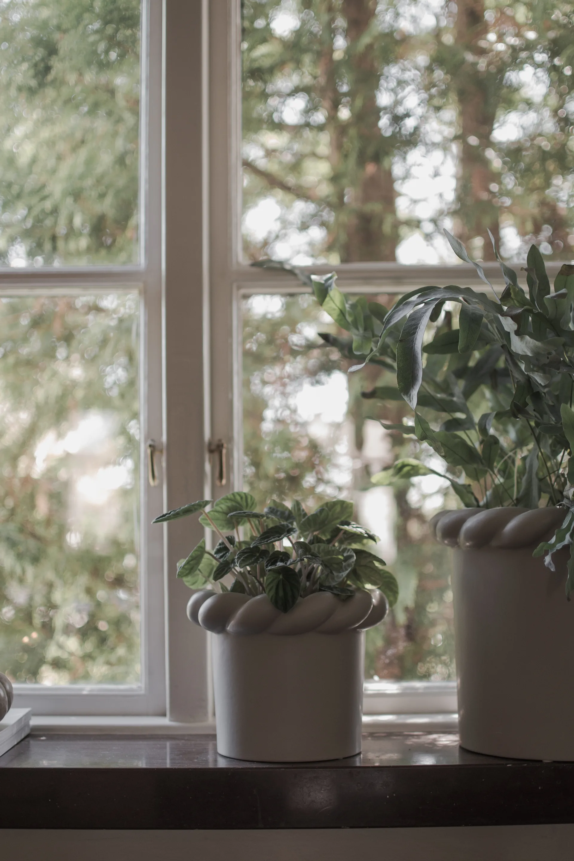 Maceta Twine Ø14 cm, Mole DBKD