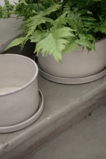Set de 2 macetas Plant bowl - Beige - DBKD