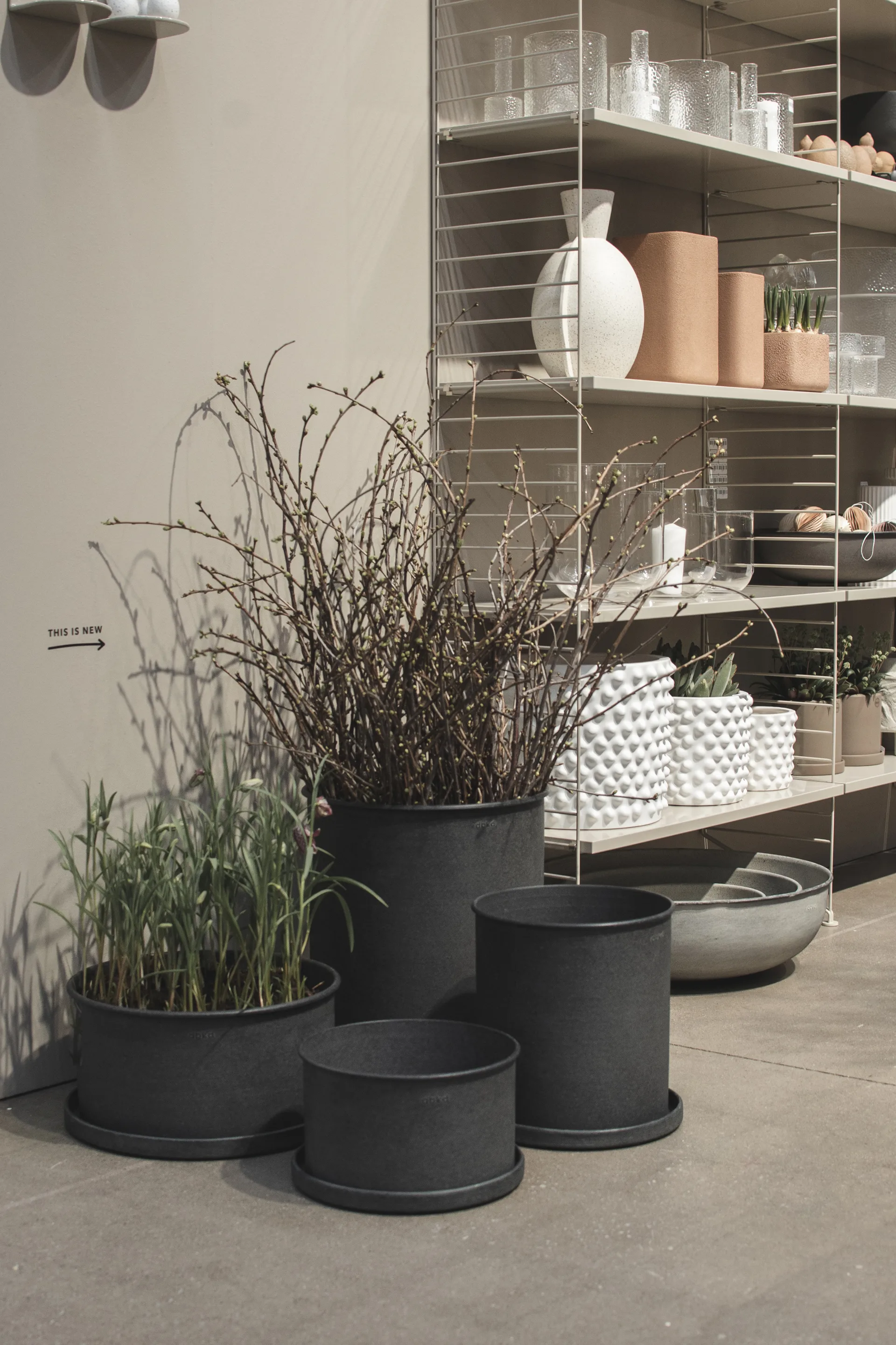 Set de 2 macetas Plant bowl, Black DBKD