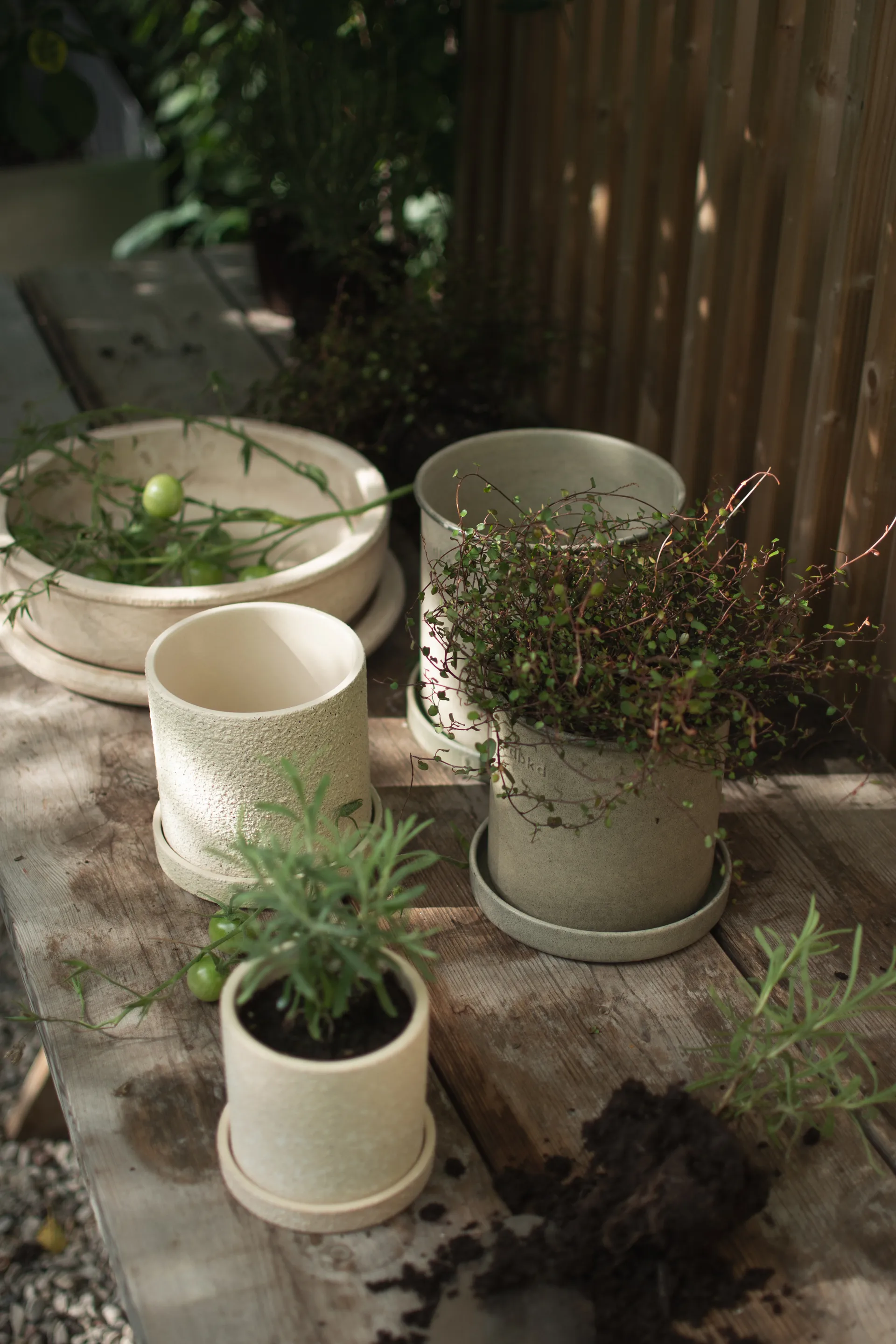 Set de 2 macetas Plant pot small, Beige DBKD