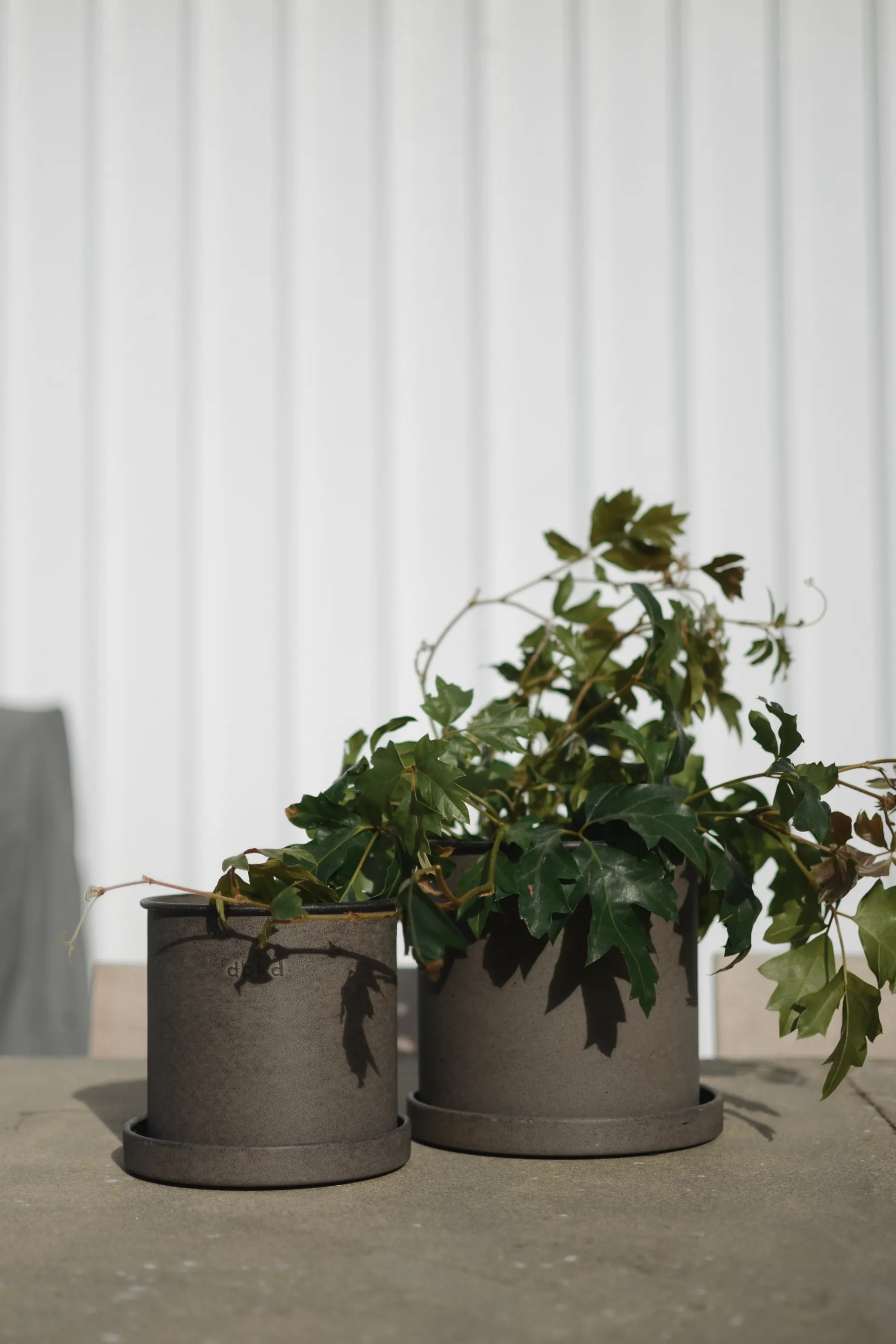 Set de 2 macetas Plant pot small, Brown DBKD