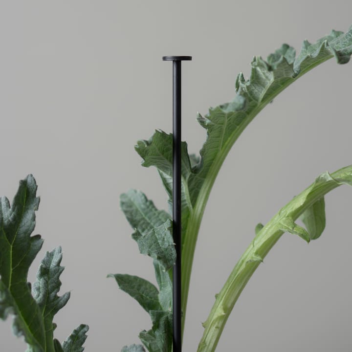Soporte para plantas DBKD Flower Stick, Black DBKD