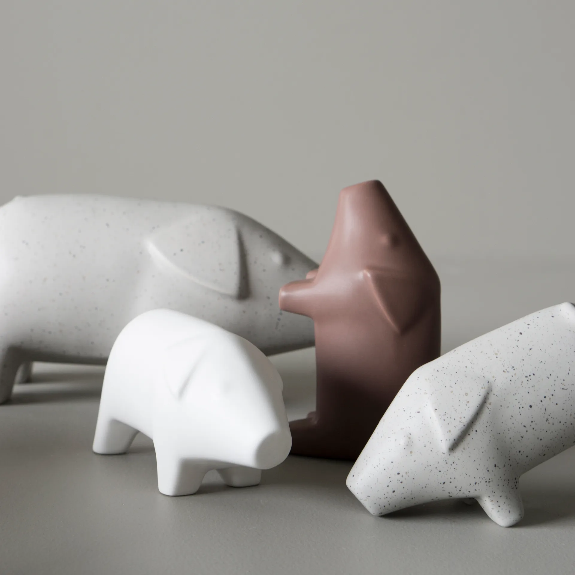 Swedish pig pequeño, Maroon DBKD