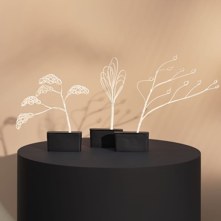 Árbol de fragancia Bonsai - cloud - Design House Stockholm