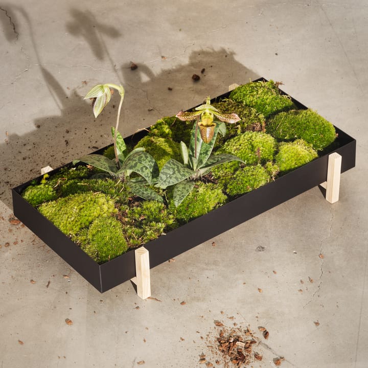 Bandeja para flores Botanic Flower Tray, negro Design House Stockholm
