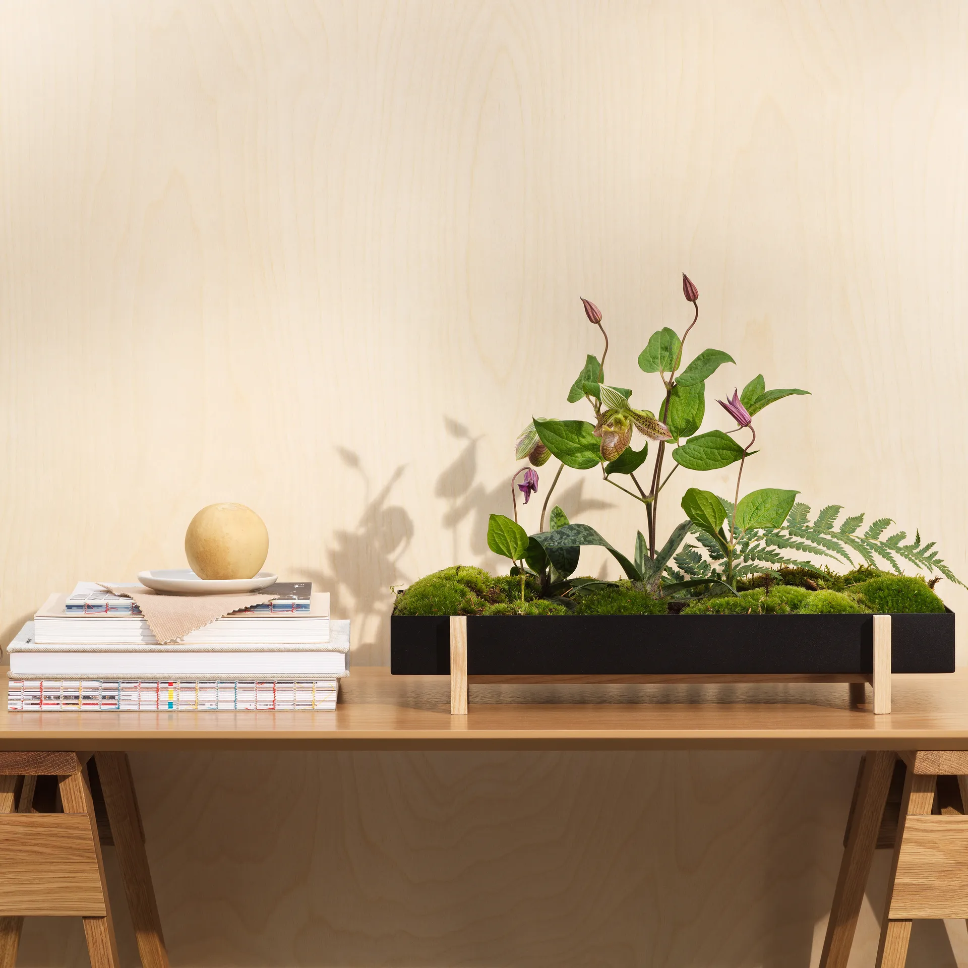 Bandeja para flores Botanic Flower Tray, negro Design House Stockholm