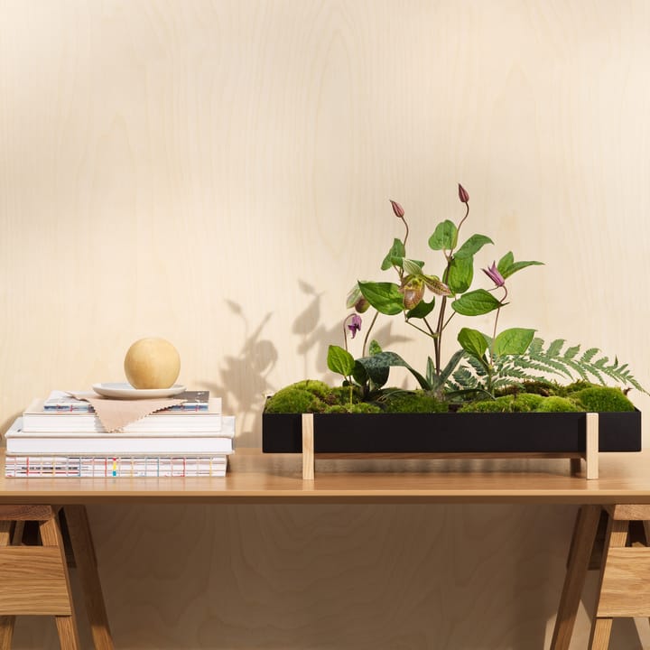 Bandeja para flores Botanic Flower Tray, negro Design House Stockholm