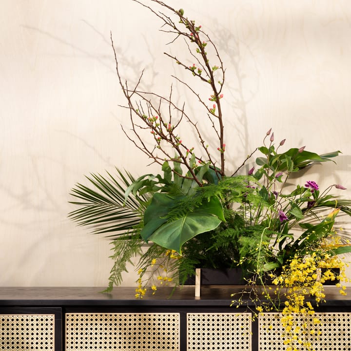 Bandeja para flores Botanic Flower Tray, negro Design House Stockholm