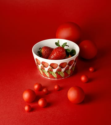 Bol Strawberry Family - 50 cl - Design House Stockholm