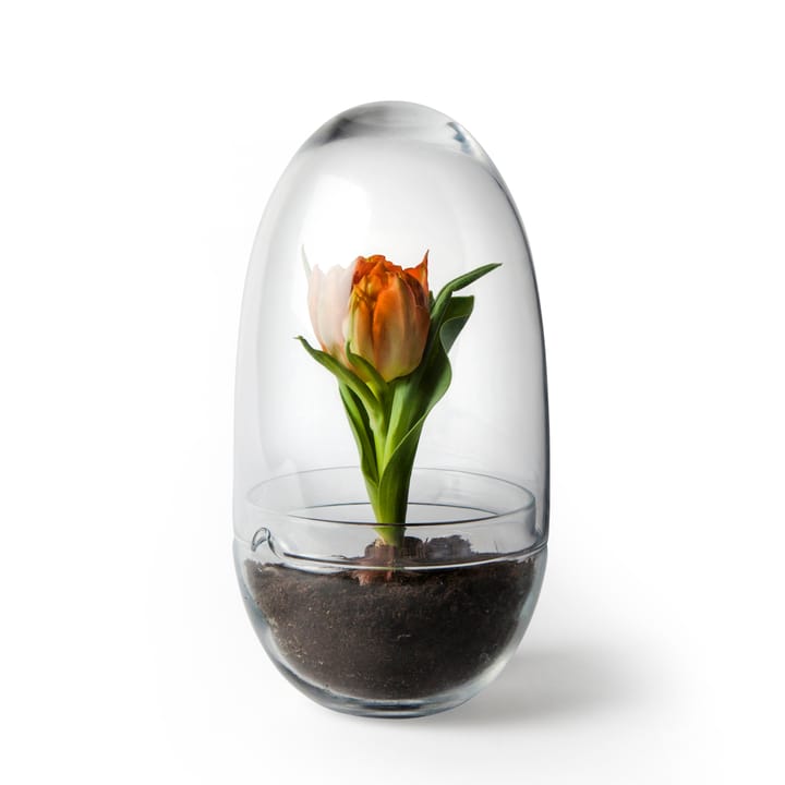 Invernadero Grow - Medium Ø11 cm - Design House Stockholm