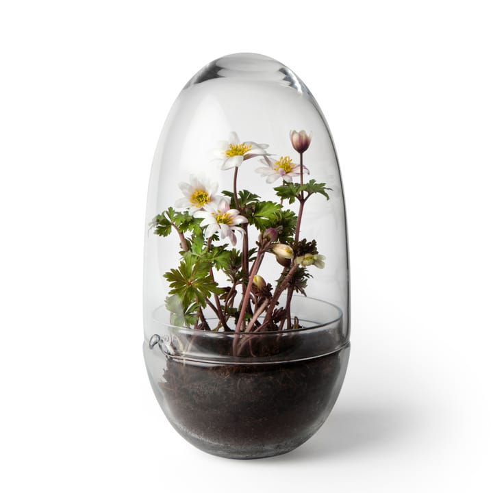 Invernadero Grow - Medium Ø11 cm - Design House Stockholm