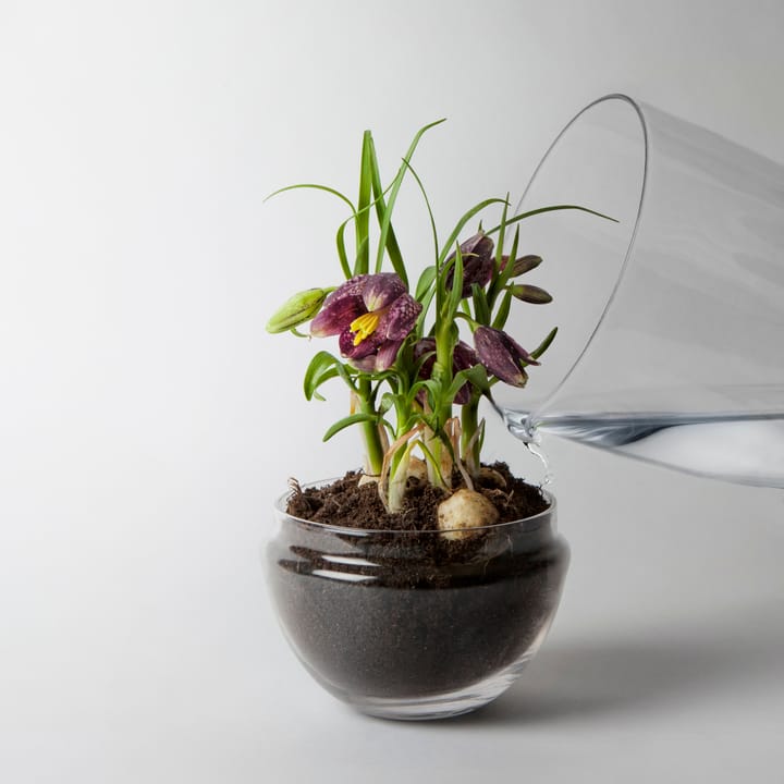 Invernadero Grow - Medium Ø11 cm - Design House Stockholm