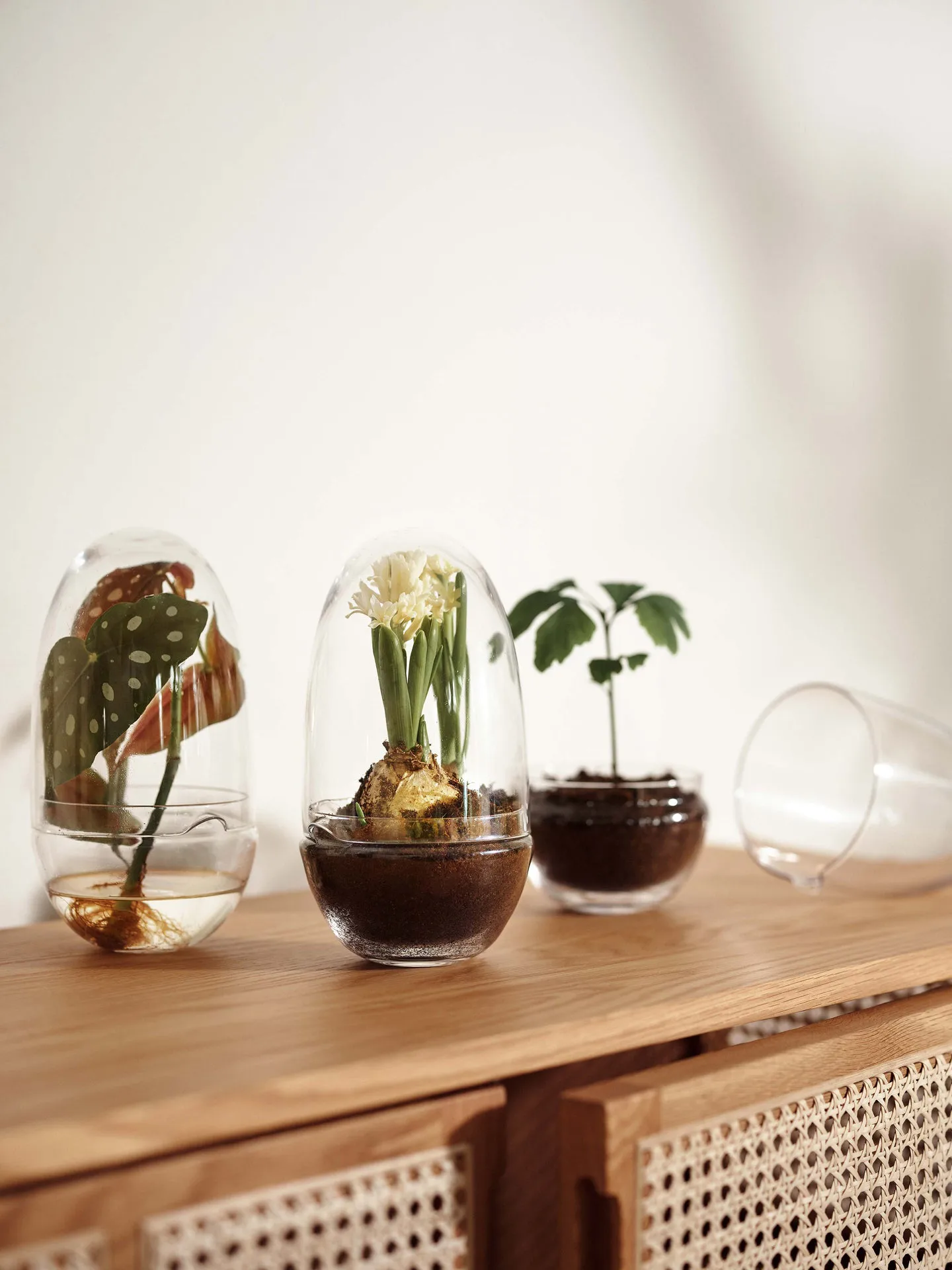 Invernadero Grow, Medium ø11 cm Design House Stockholm