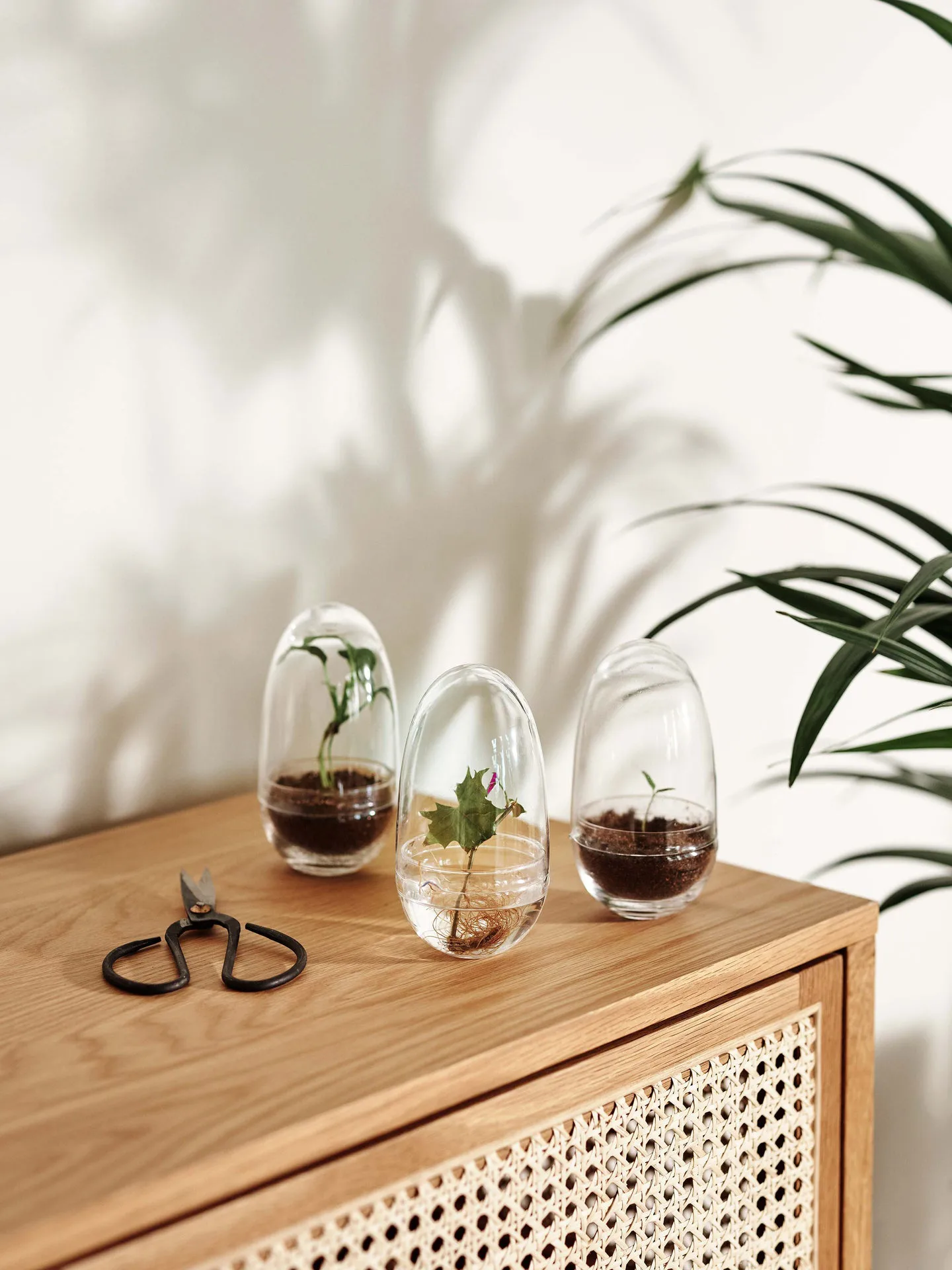 Invernadero Grow, Pequeño ø8 cm Design House Stockholm
