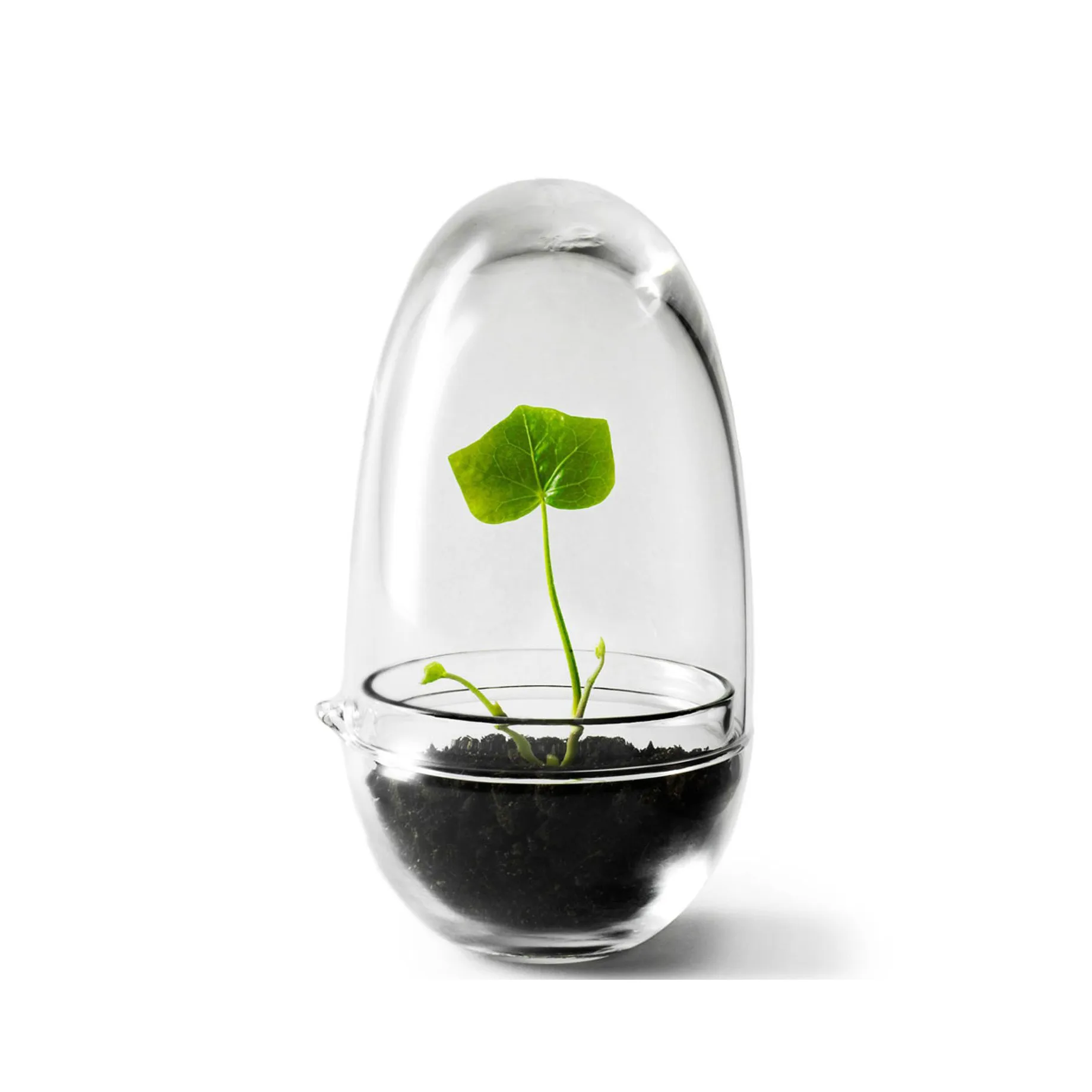 Invernadero Grow, Pequeño ø8 cm Design House Stockholm