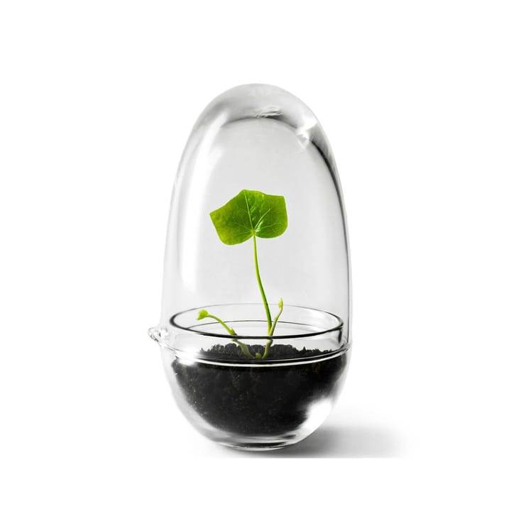 Invernadero Grow - Pequeño ø8 cm - Design House Stockholm