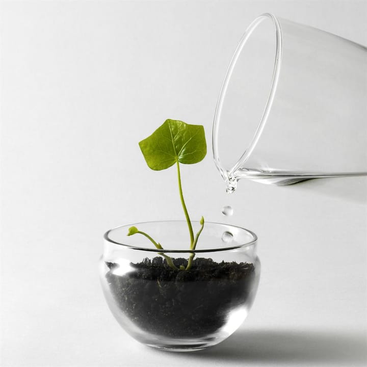 Invernadero Grow, Pequeño ø8 cm Design House Stockholm