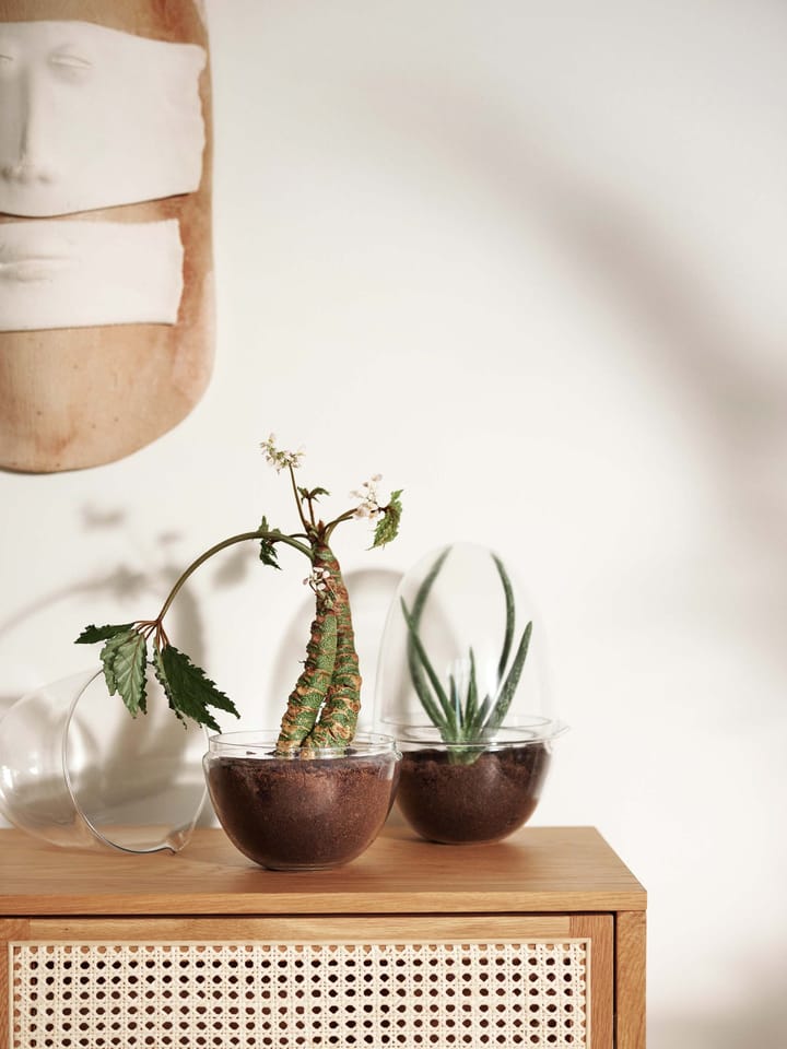 Invernadero Grow, x-large Ø20 cm Design House Stockholm