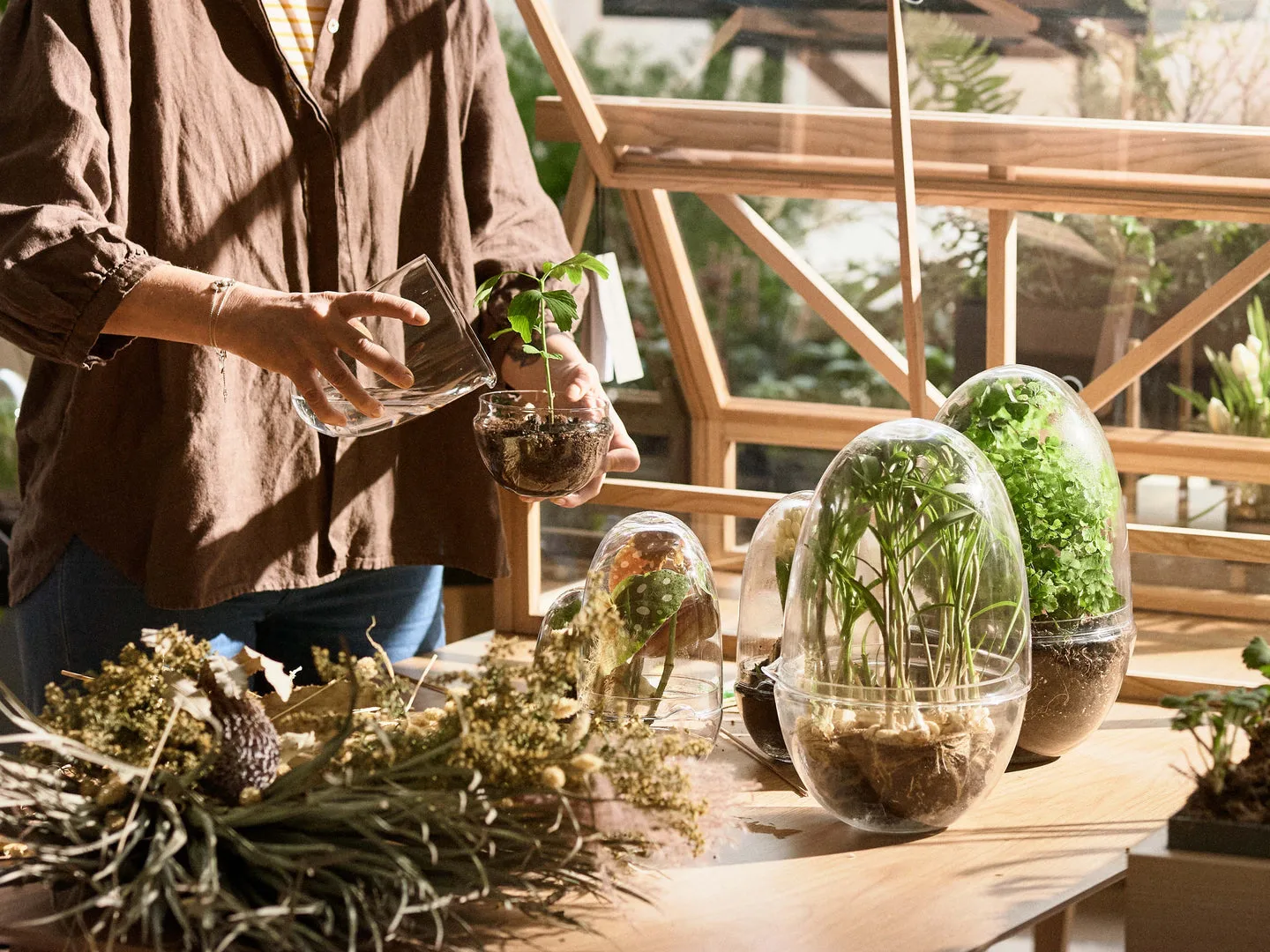 Invernadero Grow, x-large Ø20 cm Design House Stockholm