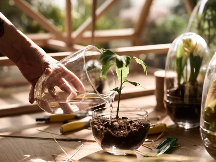 Invernadero Grow, x-large Ø20 cm Design House Stockholm